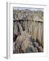 Coral Formations, Tsingy De Bemaraha, UNESCO World Heritage Site, Madagascar, Africa-null-Framed Photographic Print
