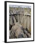 Coral Formations, Tsingy De Bemaraha, UNESCO World Heritage Site, Madagascar, Africa-null-Framed Photographic Print