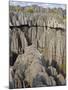 Coral Formations, Tsingy De Bemaraha, UNESCO World Heritage Site, Madagascar, Africa-null-Mounted Photographic Print