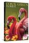 Coral Gables, Florida - Flamingos-Lantern Press-Stretched Canvas