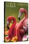 Coral Gables, Florida - Flamingos-Lantern Press-Stretched Canvas