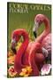 Coral Gables, Florida - Flamingos-Lantern Press-Stretched Canvas