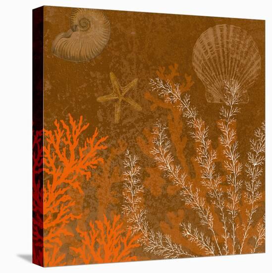 Coral Garden II-Max Carter-Stretched Canvas