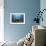 Coral Garden-Alexander Semenov-Framed Photographic Print displayed on a wall