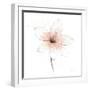 Coral Graphite Flower II-Avery Tillmon-Framed Art Print