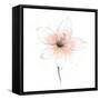 Coral Graphite Flower II-Avery Tillmon-Framed Stretched Canvas