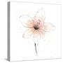 Coral Graphite Flower II-Avery Tillmon-Stretched Canvas