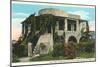 Coral House, Key West, Florida-null-Mounted Art Print