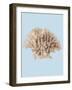 Coral I-Sloane Addison  -Framed Art Print