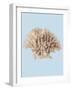 Coral I-Sloane Addison  -Framed Art Print