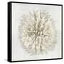 Coral I-Caroline Kelly-Framed Stretched Canvas