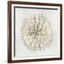 Coral I-Caroline Kelly-Framed Art Print