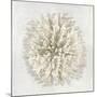 Coral I-Caroline Kelly-Mounted Art Print