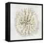 Coral I-Caroline Kelly-Framed Stretched Canvas