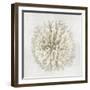 Coral I-Caroline Kelly-Framed Art Print