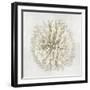 Coral I-Caroline Kelly-Framed Art Print