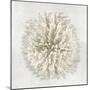 Coral I-Caroline Kelly-Mounted Art Print