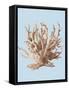 Coral II-Sloane Addison ?-Framed Stretched Canvas