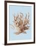 Coral II-Sloane Addison ?-Framed Art Print