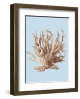 Coral II-Sloane Addison ?-Framed Art Print