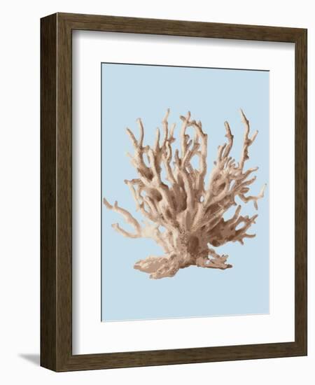 Coral II-Sloane Addison ?-Framed Art Print