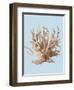 Coral II-Sloane Addison ?-Framed Art Print