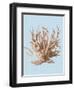 Coral II-Sloane Addison ?-Framed Art Print