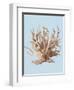 Coral II-Sloane Addison ?-Framed Art Print