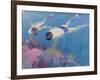 Coral II-William Ireland-Framed Giclee Print