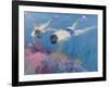 Coral II-William Ireland-Framed Giclee Print