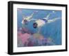 Coral II-William Ireland-Framed Giclee Print