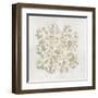 Coral II-Caroline Kelly-Framed Art Print