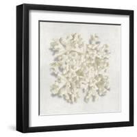 Coral II-Caroline Kelly-Framed Art Print