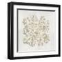 Coral II-Caroline Kelly-Framed Art Print