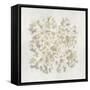 Coral II-Caroline Kelly-Framed Stretched Canvas