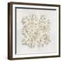 Coral II-Caroline Kelly-Framed Art Print