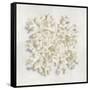 Coral II-Caroline Kelly-Framed Stretched Canvas