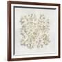 Coral II-Caroline Kelly-Framed Art Print