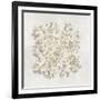 Coral II-Caroline Kelly-Framed Art Print