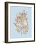 Coral III-Sloane Addison ?-Framed Art Print