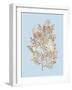 Coral III-Sloane Addison ?-Framed Art Print