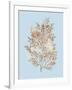 Coral III-Sloane Addison ?-Framed Art Print