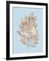 Coral III-Sloane Addison ?-Framed Art Print