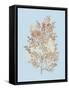 Coral III-Sloane Addison ?-Framed Stretched Canvas