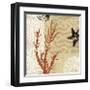 Coral Impressions I-Tandi Venter-Framed Giclee Print