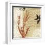 Coral Impressions I-Tandi Venter-Framed Giclee Print