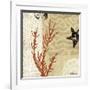 Coral Impressions I-Tandi Venter-Framed Giclee Print