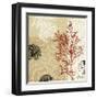 Coral Impressions II-Tandi Venter-Framed Giclee Print