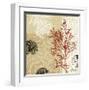 Coral Impressions II-Tandi Venter-Framed Giclee Print