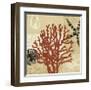 Coral Impressions III-Tandi Venter-Framed Giclee Print